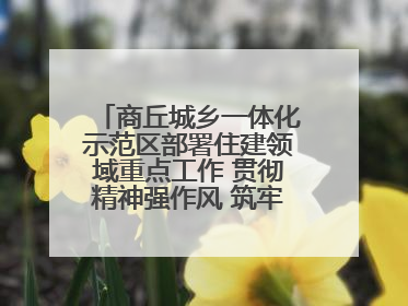 商丘城乡一体化示范区部署住建领域重点工作 贯彻精神强作风 筑牢民生底线促发展