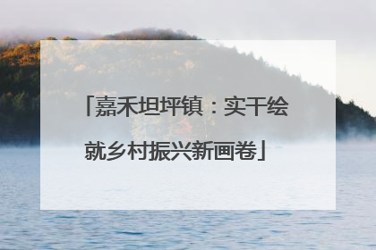 嘉禾坦坪镇：实干绘就乡村振兴新画卷