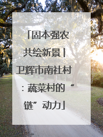 固本强农 共绘新景 ︳卫辉市南社村：蔬菜村的“链”动力