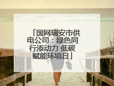 国网瑞安市供电公司：绿色同行添动力 低碳赋能环境日