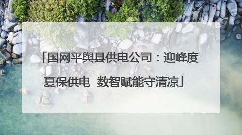 国网平舆县供电公司：迎峰度夏保供电  数智赋能守清凉