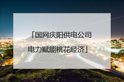国网庆阳供电公司电力赋能桃花经济
