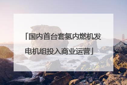国内首台套氢内燃机发电机组投入商业运营