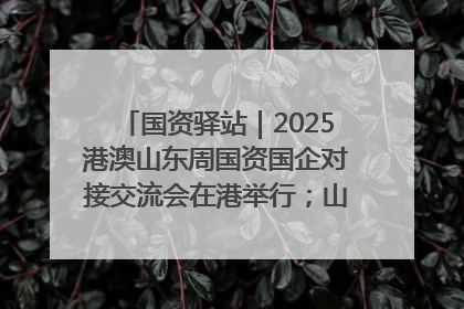 国资驿站｜2025港澳山东周国资国企对接交流会在港举行；山东黄金成功在境外发行3亿美元绿色债券