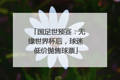 国足世预赛：无缘世界杯后，球迷低价抛售球票