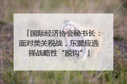 国际经济协会秘书长：面对美关税战，东盟应选择战略性“脱钩”