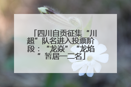四川自贡征集“川超”队名进入投票阶段：“龙焱”“龙焰”暂居一二名