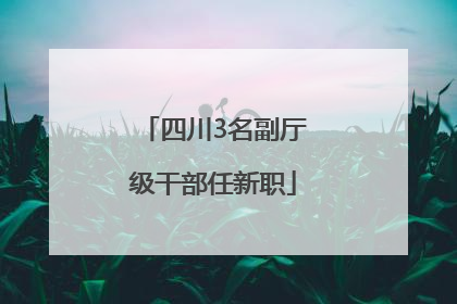 四川3名副厅级干部任新职