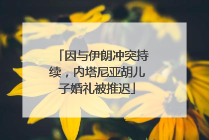 因与伊朗冲突持续，内塔尼亚胡儿子婚礼被推迟