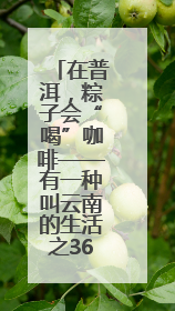 在普洱，粽子会“喝”咖啡——有一种叫云南的生活之365天