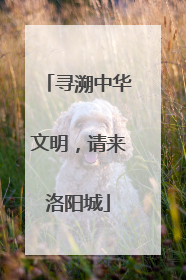 寻溯中华文明，请来洛阳城
