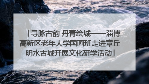 寻脉古韵 丹青绘城——淄博高新区老年大学国画班走进章丘明水古城开展文化研学活动