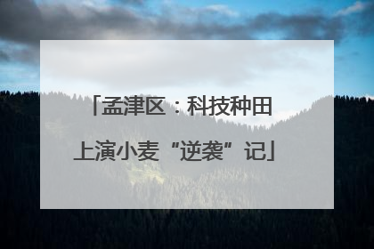孟津区：科技种田 上演小麦“逆袭”记