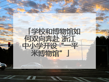 学校和博物馆如何双向奔赴 浙江中小学开设“一平米博物馆”