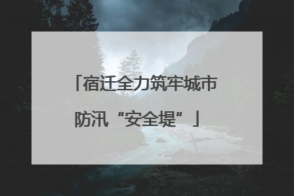 宿迁全力筑牢城市防汛“安全堤”