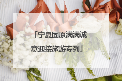 宁夏固原满满诚意迎接旅游专列