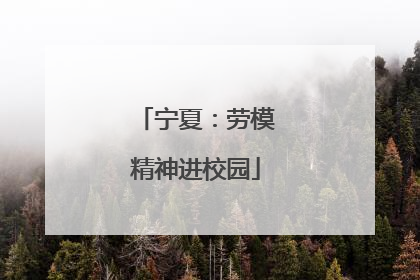 宁夏：劳模精神进校园