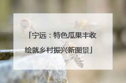 宁远：特色瓜果丰收绘就乡村振兴新图景