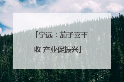 宁远：茄子喜丰收 产业促振兴