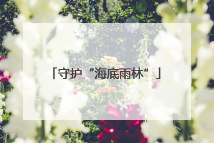 守护“海底雨林”