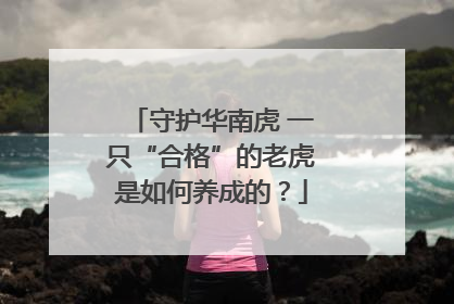 守护华南虎 一只“合格”的老虎是如何养成的？