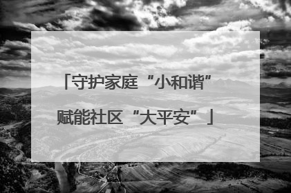 守护家庭“小和谐” 赋能社区“大平安”