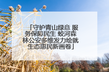 守护青山绿意 服务保障民生 蛟河森林公安多维发力绘就生态惠民新画卷