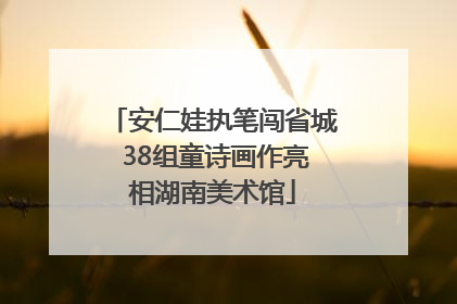 安仁娃执笔闯省城 38组童诗画作亮相湖南美术馆