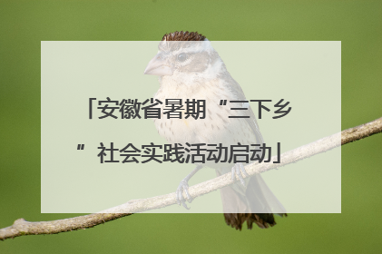 安徽省暑期“三下乡”社会实践活动启动