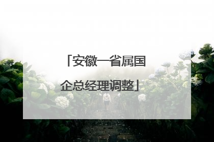 安徽一省属国企总经理调整
