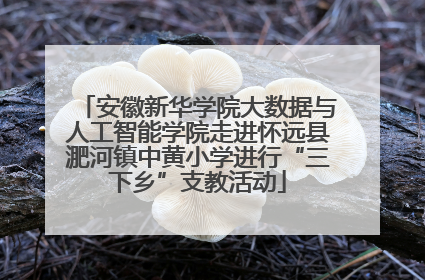 安徽新华学院大数据与人工智能学院走进怀远县淝河镇中黄小学进行“三下乡”支教活动