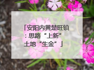 安阳内黄楚旺镇：思路“上新” 土地“生金”