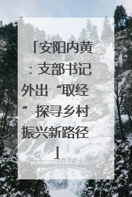 安阳内黄：支部书记外出“取经”探寻乡村振兴新路径