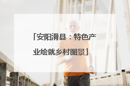 安阳滑县：特色产业绘就乡村图景