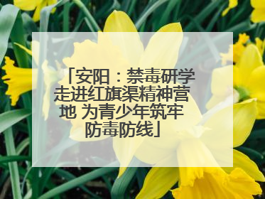 安阳：禁毒研学走进红旗渠精神营地 为青少年筑牢防毒防线