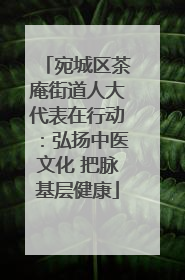 宛城区茶庵街道人大代表在行动：弘扬中医文化 把脉基层健康