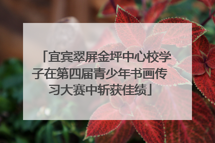 宜宾翠屏金坪中心校学子在第四届青少年书画传习大赛中斩获佳绩