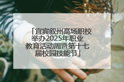 宜宾叙州高场职校举办2025年职业教育活动周暨第十七届校园技能节