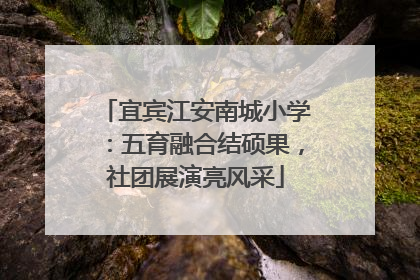 宜宾江安南城小学：五育融合结硕果，社团展演亮风采