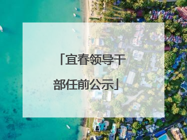 宜春领导干部任前公示