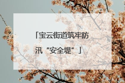 宝云街道筑牢防汛“安全堤”