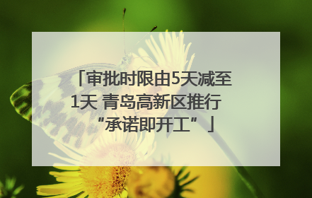 审批时限由5天减至1天 青岛高新区推行“承诺即开工”