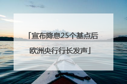 宣布降息25个基点后 欧洲央行行长发声