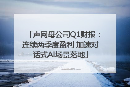 声网母公司Q1财报：连续两季度盈利 加速对话式AI场景落地