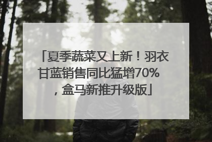 夏季蔬菜又上新！羽衣甘蓝销售同比猛增70%，盒马新推升级版