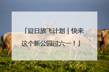 夏日放飞计划｜快来这个新公园过六一！