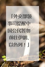 外交部领事司提醒中国公民暂勿前往伊朗、以色列！