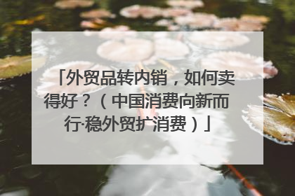 外贸品转内销，如何卖得好？（中国消费向新而行·稳外贸扩消费）