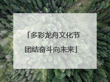 多彩龙舟文化节 团结奋斗向未来