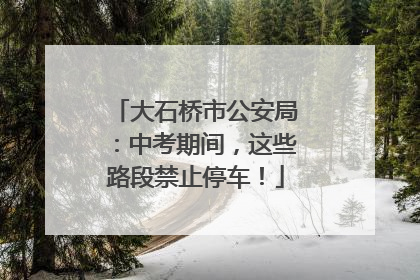大石桥市公安局：中考期间，这些路段禁止停车！